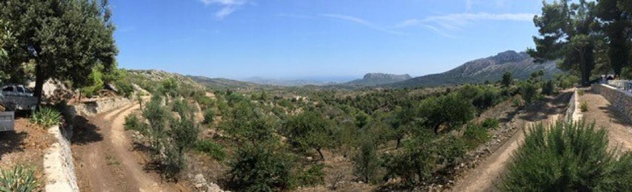 One Bed Apartment Overlooking Jalon Valley, Costa Blanca Alcalalí Exterior foto